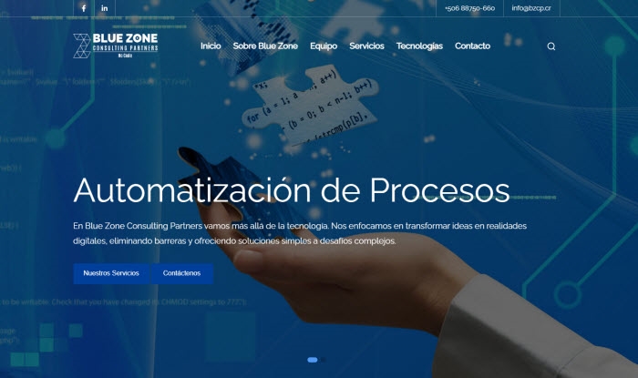 Blue Zone Consulting Partners