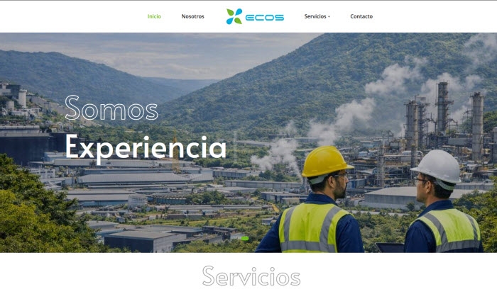 Conusltoría ECOS